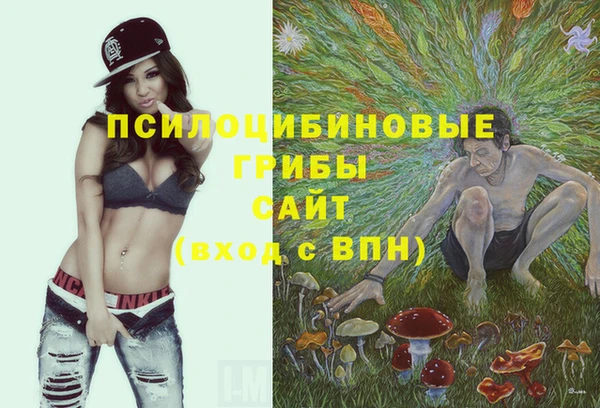spice Горняк
