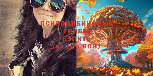spice Горняк